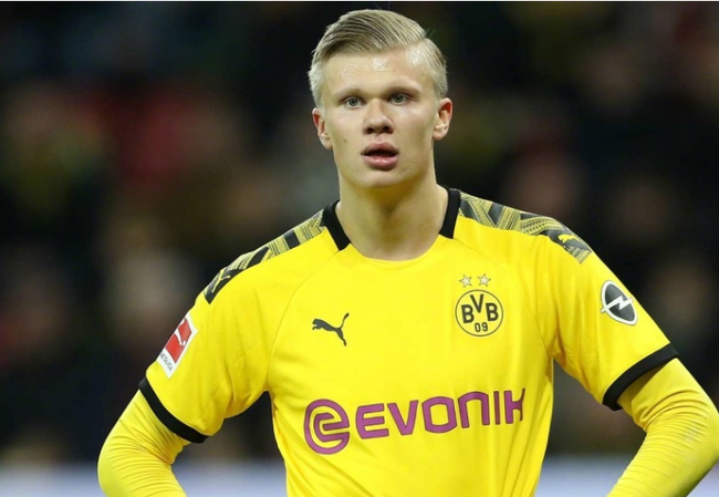 综合体育赛季阶段总结 各项目走势综合评估